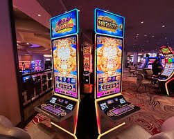 79 bet login